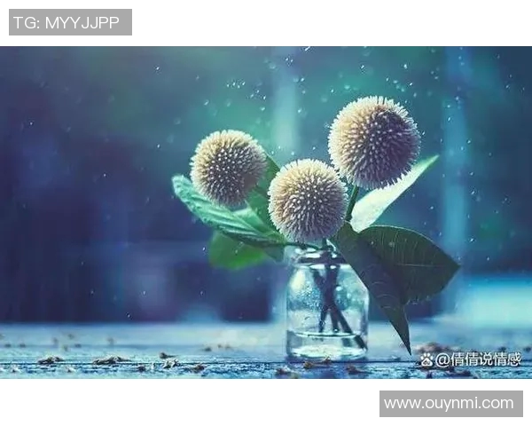 小波特回忆与女孩聊天的甜蜜时光却因媒体关注不得不放弃